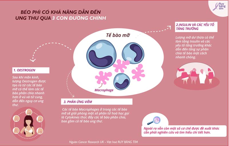 béo phì gây nguy cơ ung thư