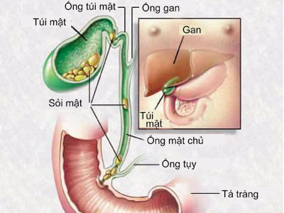 phuong phap dieu tri soi mat hieu qua