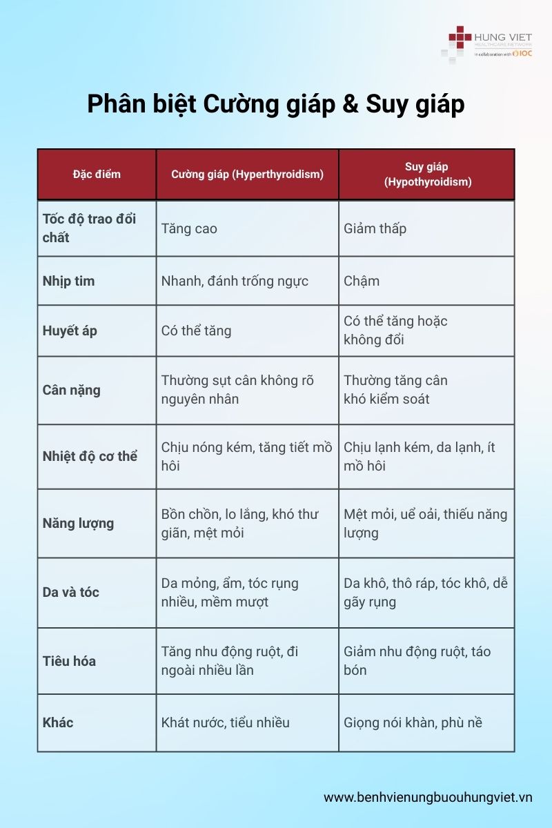 roi-loan-chuc-nang-tuyen-giap-tong-quan-thong-tin-ban-can-biet-02