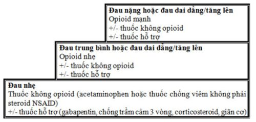 thuốc giảm cơn đau do ung thư