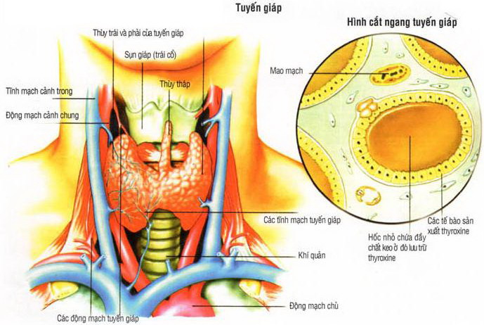 Các phương pháp điều trị ung thư tuyến giáp